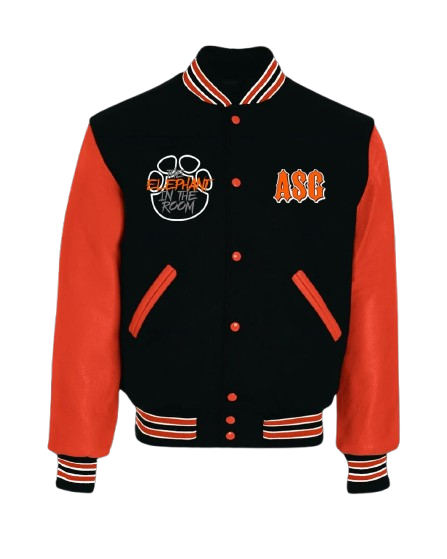 "Elephant in the room" Varsity